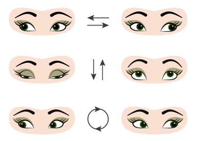 Корисна інформація: Упражнения для глаз: как снизить риск развития синдрома сухого глаза?